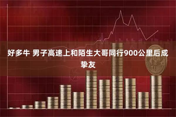 好多牛 男子高速上和陌生大哥同行900公里后成挚友