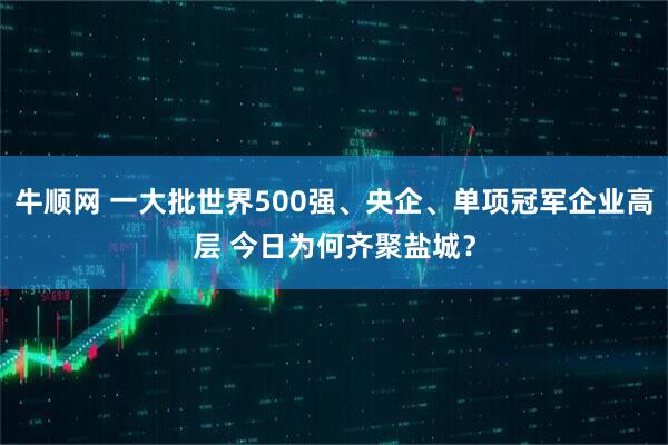 牛顺网 一大批世界500强、央企、单项冠军企业高层 今日为何齐聚盐城？