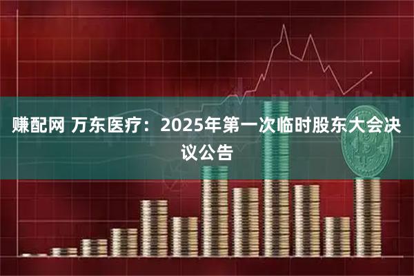 赚配网 万东医疗：2025年第一次临时股东大会决议公告