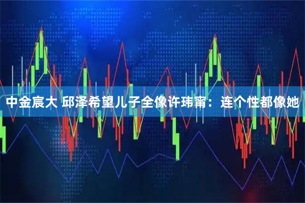 中金宸大 邱泽希望儿子全像许玮甯：连个性都像她