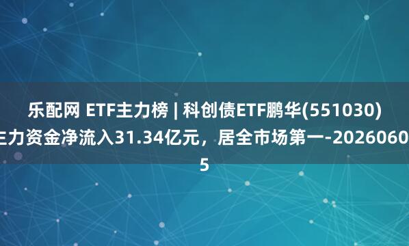 乐配网 ETF主力榜 | 科创债ETF鹏华(551030)主力资金净流入31.34亿元，居全市场第一-20260605